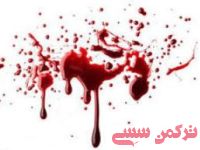 ادامه مطلب...