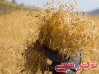 ادامه مطلب...