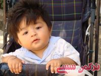 ادامه مطلب...