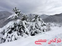 ادامه مطلب...