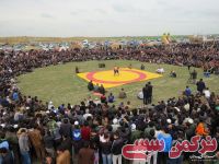 ادامه مطلب...