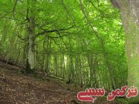 ادامه مطلب...