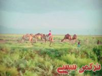 ادامه مطلب...