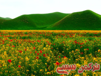 ادامه مطلب...