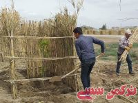 ادامه مطلب...