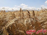ادامه مطلب...