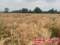 ادامه مطلب...