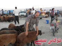 ادامه مطلب...