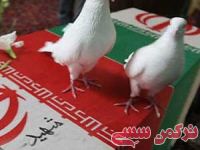 ادامه مطلب...