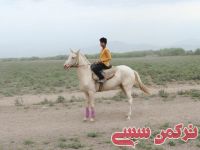 ادامه مطلب...