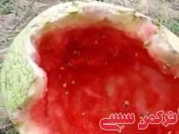 ادامه مطلب...