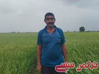 ادامه مطلب...