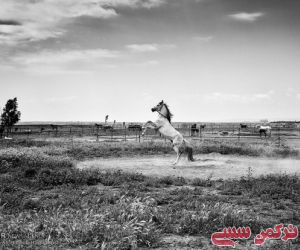 c_300_250_16777215_10_images_2083930.jpg