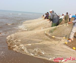 c_300_250_16777215_10_images_22bahmangollidagh_28295.jpeg