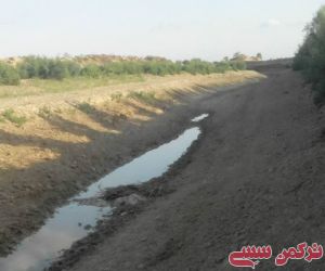 c_300_250_16777215_10_images_77422.jpg